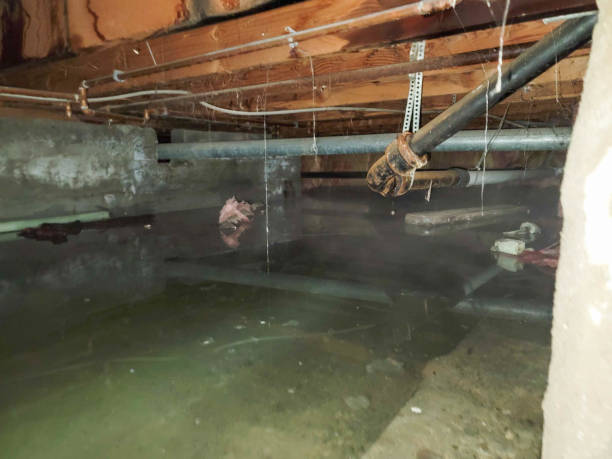 Best Flood restoration services  in Granville, OH