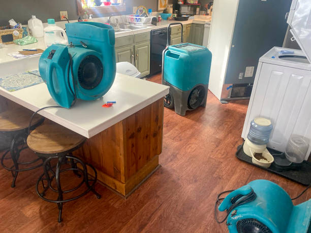 Best Carpet water damage restoration  in Granville, OH