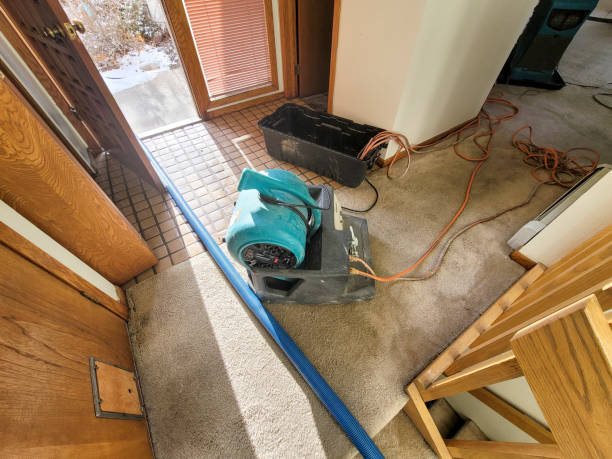 Professional Water damage restoration in Granville, OH