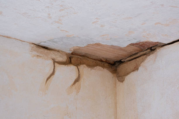 Best Commercial water damage restoration  in Granville, OH