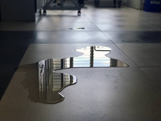 Best Water damage contractors near me  in Granville, OH