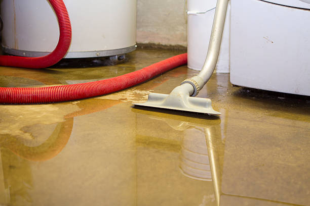 Best Basement water damage restoration  in Granville, OH