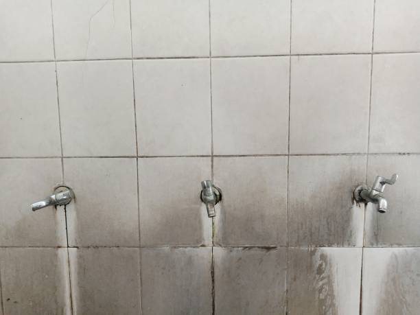 Best Professional water damage repair  in Granville, OH