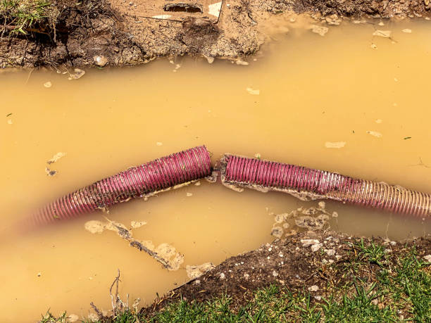Best Water damage cleanup near me  in Granville, OH